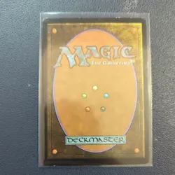 Terra Eternal - LP - Worldwake MTG Magic the Gathering Spanish - Image 2