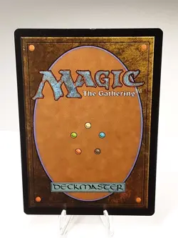 MTG - M14 - Forest - #249 - Lightly Played - Image 3