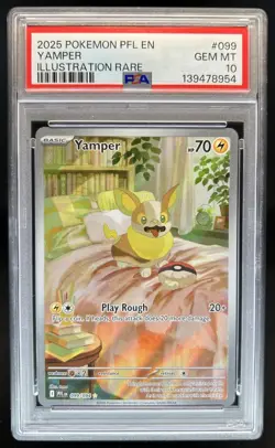 2025 Pokemon Phantasmal Flames Yamper Illustration Rare #099/094 PSA 10 GEM MINT - Image 1
