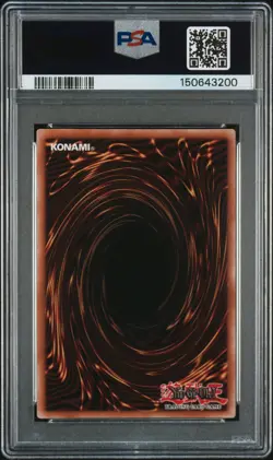 2025 YU-GI-OH! NIKE COLLABORATION #EN001 WINDS OF VICTORY PSA 9 - Image 2