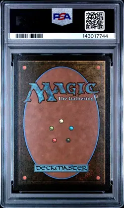 2025 MTG MARVEL'S SPIDER-MAN SCENE BORDERLESS-FOIL #0204 SPIDER-MAN NOIR PSA 10 - Image 2