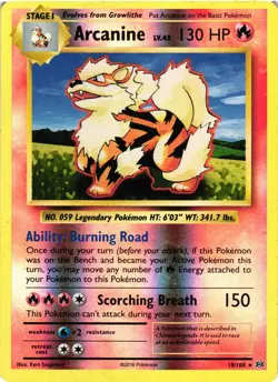Pokemon TCG Arcanine 18/108 Reverse Holo Rare XY Evolutions MP - Image 1