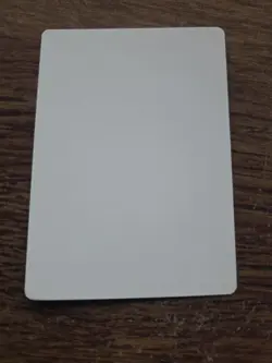 Hornet Cobra Sandra Everingham ARTIST PROOF Legends Set Magic the Gathering - Image 2