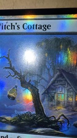 MTG ~ FOIL ~ 2x Witch's Cottage ~ ELD Throne of Eldraine ~ #249 Land ~ NM - Image 2