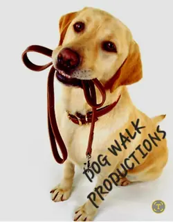 Pokemon Card Mewtwo SVP 052 Illustration Rare Pokemon 151 UPC Promo MINT - Image 3