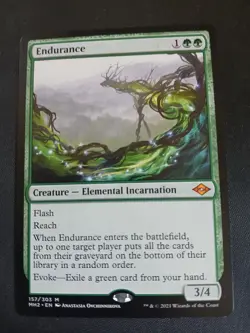 MTG Endurance English Modern Horizons 2 LP - Image 1