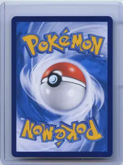 2025 Pokemon TCG S-Chinese Gem Pack Vol.1 Holo CBB1C 04 08/08 Crocalor NM - Image 2