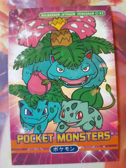 Pokemon Pocket Book Card Bulbasaur Ivysaur Venusaur Peru NOT Official Pokemon NM - Image 1