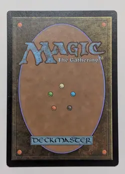 MTG Bedrock Tortoise - The Lost Caverns of Ixalan Mint/NM Magic The Gathering - Image 2