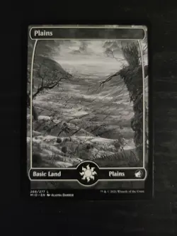 NM Non-Foil Black & White Eternal Night Full Art Lands Innastrad Midnight Hunt - Image 2
