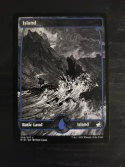 NM Non-Foil Black & White Eternal Night Full Art Lands Innastrad Midnight Hunt - Image 4