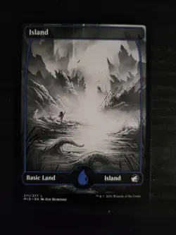 NM Non-Foil Black & White Eternal Night Full Art Lands Innastrad Midnight Hunt - Image 5