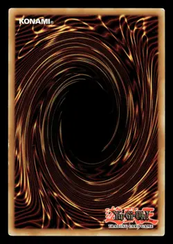 Number 13: Embodiment of Crime PGLD-EN023 Gold Rare Yugioh Card - Image 2
