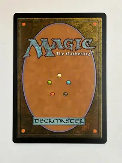 MTG Plains UST 212 Nonfoil L Lightly Played - Image 2