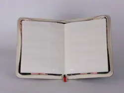 Trading Card 9-pocket Binder Manamoon GEM spicyhot - Image 3