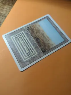 Scrubland - MTG - Revised - MP - Image 3