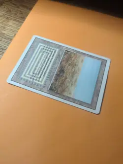 Scrubland - MTG - Revised - MP - Image 4