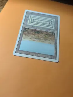 Scrubland - MTG - Revised - MP - Image 5