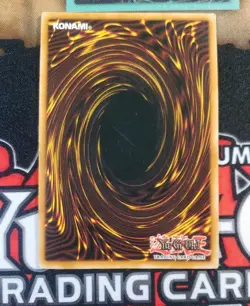 Blue-Eyes White Dragon SKE-001 Starter Deck: Kaiba Evolution 1st Edition - Image 4