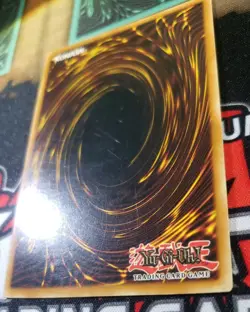 Blue-Eyes White Dragon SKE-001 Starter Deck: Kaiba Evolution 1st Edition - Image 5