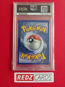 PSA 7 Mistys Gyarados 13/132 Gym Challenge Holo Rare graded Pokemon Card - Image 2