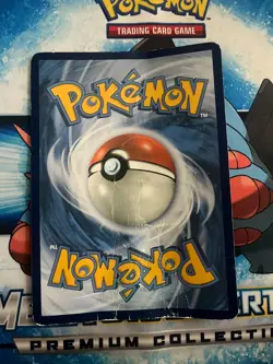 Mega Swampert Ex Bundle: Jumbo, Coin, Mat, Cards - Image 3