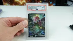 Llanowar Elves (Showcase) Foundations Foil PSA 10 ENGLISH + Acrylic Display - Image 2