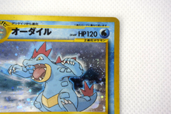 Pokemon TCG Feraligatr Neo Premium File 1 Holo lv.69 HP120 No.160 (Japanese) - Image 4