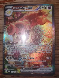 Pokemon Dachsbun EX Full Art Special Illustration Rare 169/142 SV07 Holo - Image 2