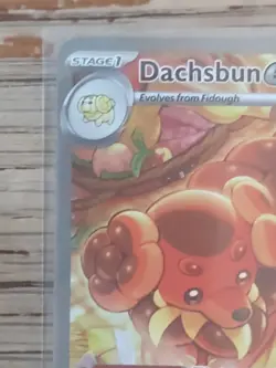 Pokemon Dachsbun EX Full Art Special Illustration Rare 169/142 SV07 Holo - Image 4