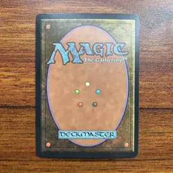 MTG Chill Tempest Magic the Gathering TMP #56 1997 NM/MT Unplayed See Pics - Image 2