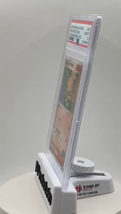 2005 Pokemon PokePark's Torchic PokePark Forest JPN Holo #002 PSA 10 Gem Mint - Image 2