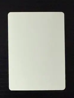 Magic MTG Italian Revised Forest Artist Proof Near Mint - Only 50 Exist! - Image 2