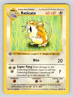 Raticate 1st Edition Base Set Shadowless 40/102 Pokemon - PL! - Image 1