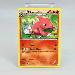 Pokemon 2013 Charmeleon 18/113 Legendary Treasures TCG Card Non Holo MP+ - Image 1