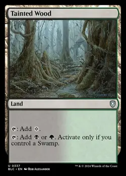 4 x Tainted Wood - Commander: Bloomburrow - NM-Mint - MTG - Image 1