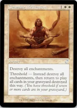 Cleansing Meditation U Torment NM/LP - Image 1