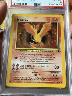 (Lot of 2) 1999 Pokemon Fossil Zapdos & Moltres Holo PSA 6 EX-MT - Image 3