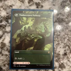 🔥 MTG - Cragcrown Pathway / Timbercrown Pathway - (Borderless) ZNR #494 M/NM 🔥 - Image 1