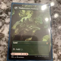 🔥 MTG - Cragcrown Pathway / Timbercrown Pathway - (Borderless) ZNR #494 M/NM 🔥 - Image 2