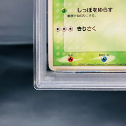 PSA 8 Treecko 037/PCG-P Pokemon Center Yokohama Promo 2005 Japanese Yuka Morii - Image 4