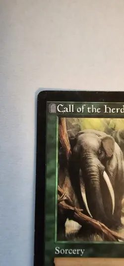 MTG Magic the Gathering Call of the Herd (231/352) Odyssey LP - Image 2