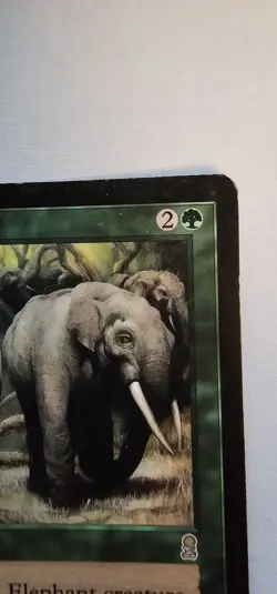 MTG Magic the Gathering Call of the Herd (231/352) Odyssey LP - Image 3