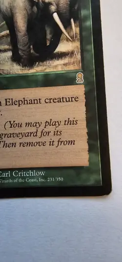 MTG Magic the Gathering Call of the Herd (231/352) Odyssey LP - Image 4