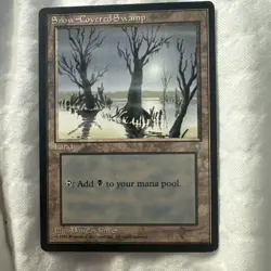 Snow-Covered Swamp Magic: Ice Age 1995 - Image 1