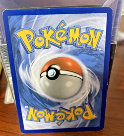Pokemon card PAIR-Arcanine #6 Dectective Pikachu 2019 AND Arcanine 11 Promo 2023 - Image 4