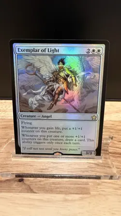 Exemplar of Light Foundations Foil - Image 1