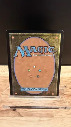 Exemplar of Light Foundations Foil - Image 2