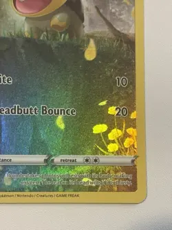 Pokemon TCG Turtwig Holo Rare Card Crown Zenith: Galarian Gallery GG31/GG70 NM/M - Image 4