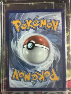 Raging Bolt ex SVP 145 Holo Black Star Promo Pokemon Card NM - Image 2